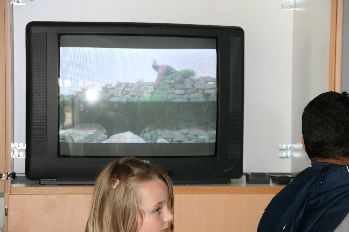 Im Fernseher liefen Filme aus Norte Potosí